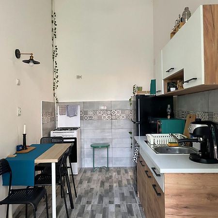 Small Apartment - Historic House Κλουζ-Ναπόκα Εξωτερικό φωτογραφία