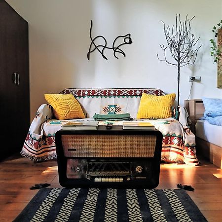 Small Apartment - Historic House Κλουζ-Ναπόκα Εξωτερικό φωτογραφία