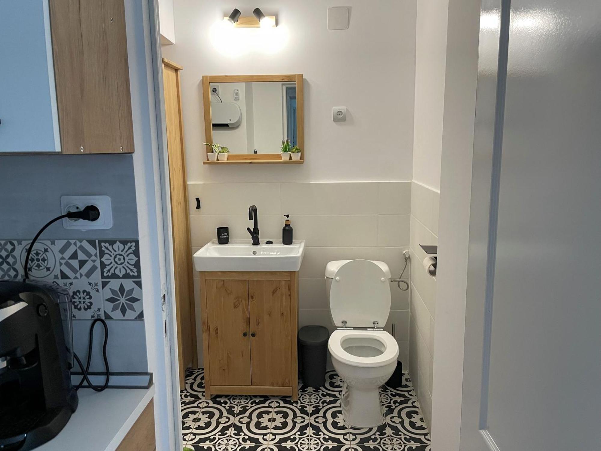 Small Apartment - Historic House Κλουζ-Ναπόκα Εξωτερικό φωτογραφία