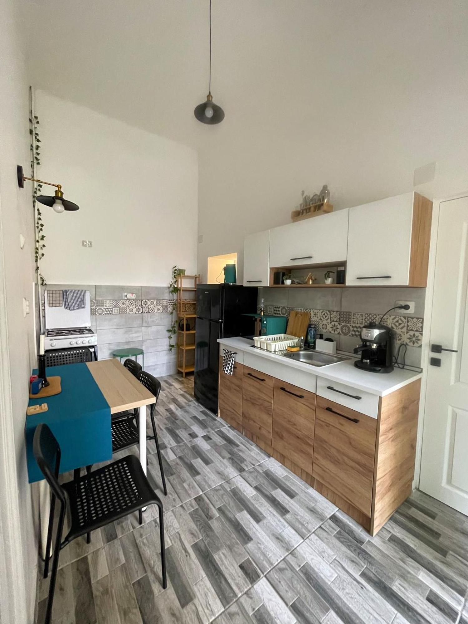 Small Apartment - Historic House Κλουζ-Ναπόκα Εξωτερικό φωτογραφία