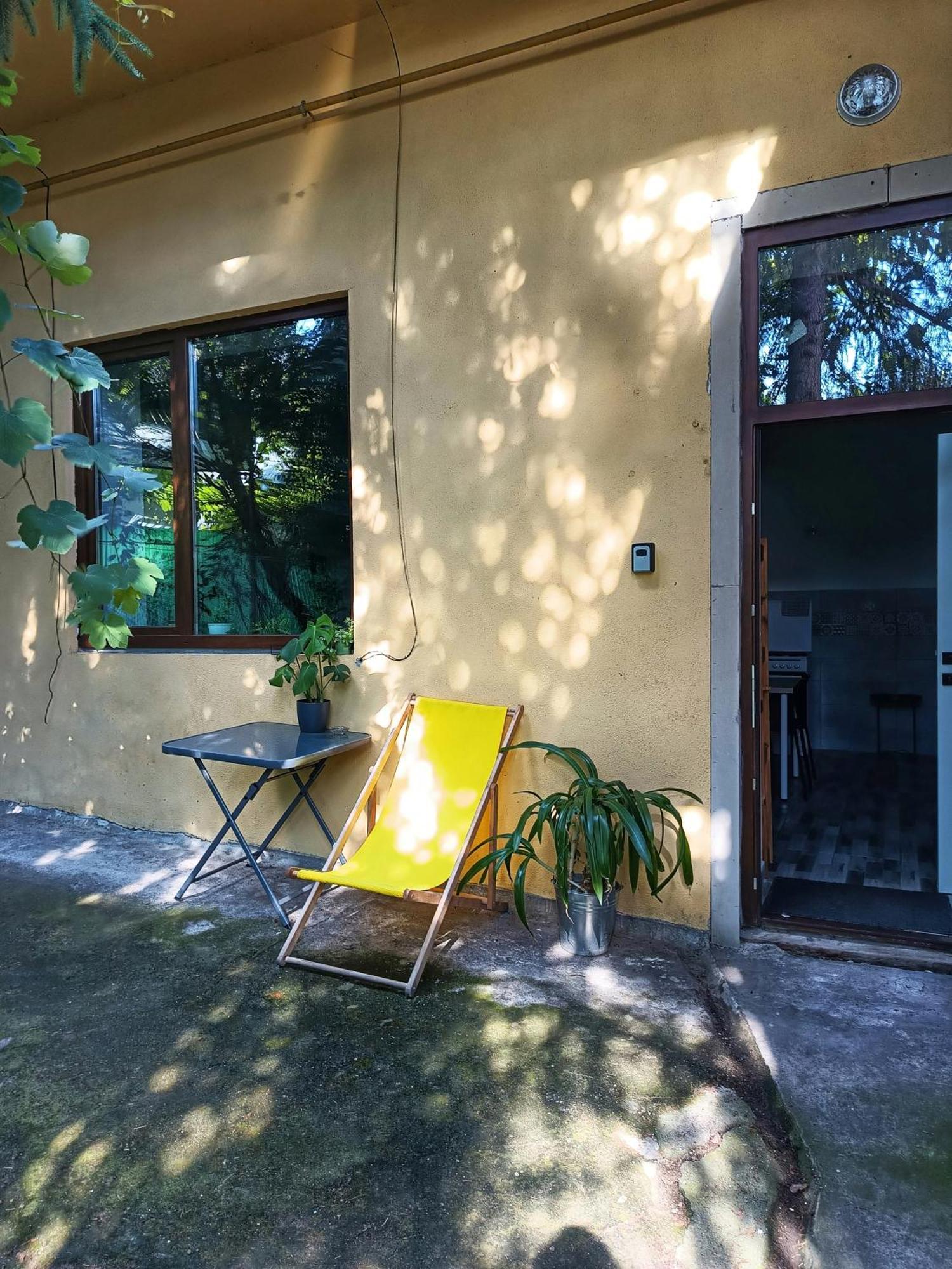 Small Apartment - Historic House Κλουζ-Ναπόκα Εξωτερικό φωτογραφία